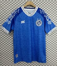 Esporte Clube Bahia Special Edition Fans  1:1 Quality Soccer Jersey   24-25