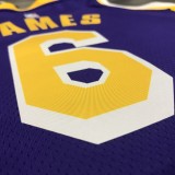 Los Angeles Lakers   purple 6 James  round neck  Flying Man Limited NBA Jerseys