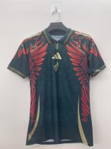 Mexico Special Edition Fans  1:1 Quality Soccer Jersey   25-26