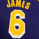 Los Angeles Lakers purple 6 James  V-neck   NBA Jerseys