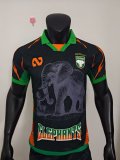 Ivory Coast Special Edition player  1:1 Quality Soccer Jersey   25-26