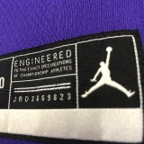 Los Angeles Lakers   purple 6 James  round neck  Flying Man Limited NBA Jerseys