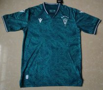Santiago Wanderers home fans 1:1 Quality Soccer Jersey   24-25