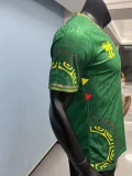 Mali Away player  1:1 Quality Soccer Jersey   25-26