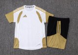 Adidas Clover Sets  White 1:1 Quality Soccer Jersey  25-26