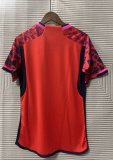 Spain Special Edition Fans 1:1 Quality Soccer Jersey   24-25
