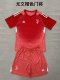 Juventus  Goalkeeper Fans  (Kids and Man)  1:1 Quality Soccer Jersey  25-26