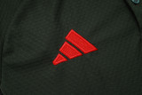 Bayern Munich Polo Fans  Black 1:1 Quality Soccer Jersey  25-26
