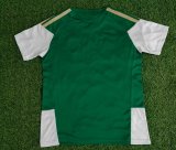 Italy Special Edition Green Fans  1:1 Quality Soccer Jersey  25-26