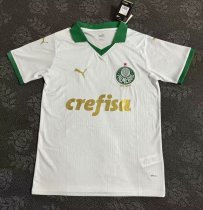 Palmeiras away fans 1:1   24-25