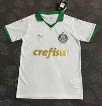 Palmeiras away fans 1:1   24-25