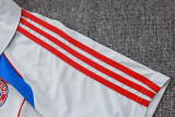 Bayern Munich Polo Fans  Grey 1:1 Quality Soccer Jersey  25-26