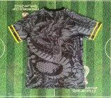 Real Madrid Special Edition Fans 1:1 Quality Soccer Jersey 25-26