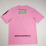 Retro Palestino Special Edition Ping  Fans  1:1 Quality Soccer Jersey  2021-2022