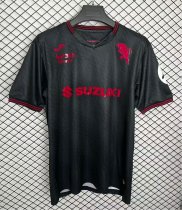 Torino Special Edition Fans  1:1 Quality Soccer Jersey   25-26