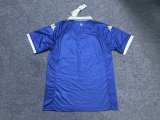 Versailles home  Fans 1:1 Quality Soccer Jersey  24-25