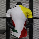 Real Madrid Ronaldo Commemorative Editionn  Player 1:1 Quality Soccer Jersey  25-26