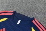 Colombia Training Special Edition  Fans 1:1 Quality Soccer Jersey 26-27（2026）