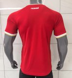 Panama Home   Fans 1:1 Quality Soccer Jersey    25-26