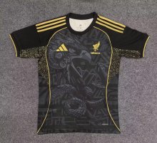 Mexico Special Edition Fans  1:1 Quality Soccer Jersey  25-26