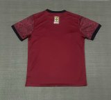 Brazil  Special Edition  fans 1:1 Quality Soccer Jersey  25-26