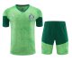 Palmeiras Training clothing set  1:1 Quality Soccer Jersey   24-25