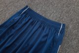Adidas Clover Sets  Blue 1:1 Quality Soccer Jersey  25-26