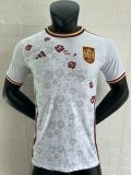 Spain Special Edition Summary  Player  1:1 Quality Soccer Jersey  24-25