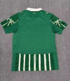 Palmeiras Special Edition fans  1:1 Quality Soccer Jersey    25-26