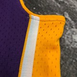 Los Angeles Lakers Kobe  #8 BRYANT Purple V-neck  NBA Jerseys  2000-2001