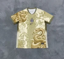 Inter Milan  Special Edition Fans  1:1 Quality Soccer Jersey   25-26