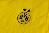 Dortmund  training  fans  1:1 Quality Soccer Jersey  24-25