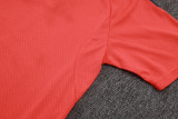 Bayern Munich Polo Fans  Red 1:1 Quality Soccer Jersey  25-26