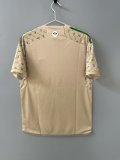 Juventus Special Edition Fans 1:1 Quality Soccer Jersey   24-25