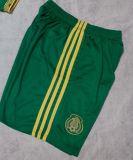 Mexico  pant pants shorts  away home third away   1:1