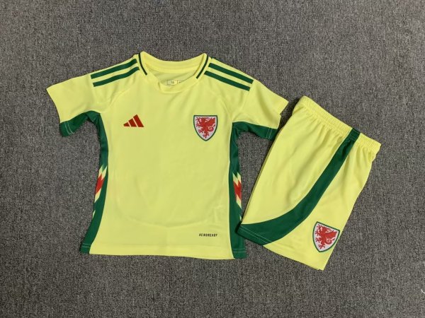 Welsh away  Kids 1:1 Quality Soccer Jersey  24-25