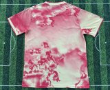 Barcelona  Special Edition  Fans   1:1 Quality Soccer Jersey  25-26