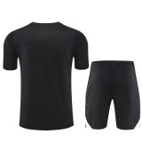 Liverpool  Training  Black Fans Kits  1:1 Quality Soccer Jersey 25-26 (Kids And Man )