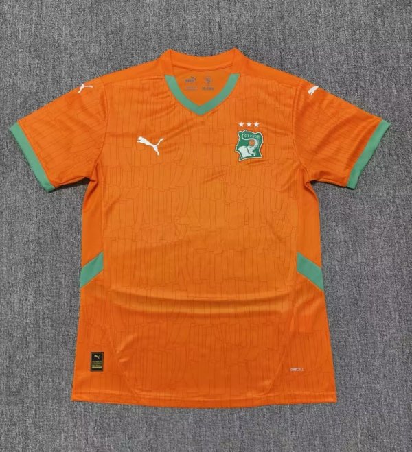 Ivory Coast home fans  1:1 Quality Soccer Jersey   24-25