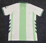 SV Werder Bremen Special Edition Fans 1:1 Quality Soccer Jersey  26-27