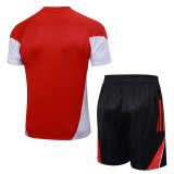 Adidas Clover Sets  Red 1:1 Quality Soccer Jersey  25-26