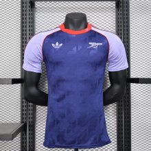 Arsenal  Special Edition  player  1:1 Quality Soccer Jersey    24-25