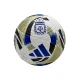 Puma Argentina  Football Ball   1:1 Football equipment