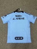Tiger Special Edition fans 1:1 Quality Soccer Jersey  24-25