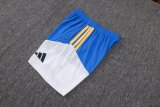 Adidas Clover Sets  Blue 1:1 Quality Soccer Jersey  25-26