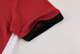 Nike  Polo  1:1 Quality Soccer Jersey