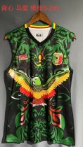 Mali Special Edition  vest   Fans  1:1 Quality Soccer Jersey   23-24