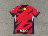 Kashima Antlers home Fans 1:1 Quality Soccer Jersey 25-26