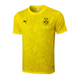 Dortmund  training  fans  1:1 Quality Soccer Jersey  24-25