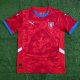 Czech Republic home Fans 1:1 Quality Soccer Jersey  24-25
